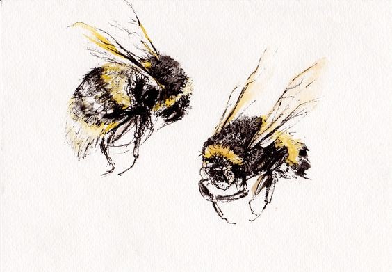 Sweet colorful bumble bee couple tattoo design