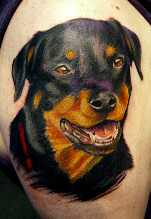 Sweet colorful rottweiler head tattoo for men on upper arm
