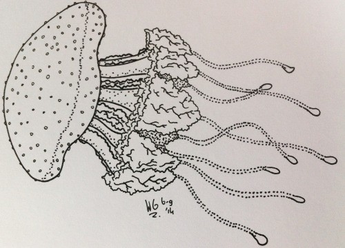 Sweet dotwork jellyfish swimming to side tattoo design