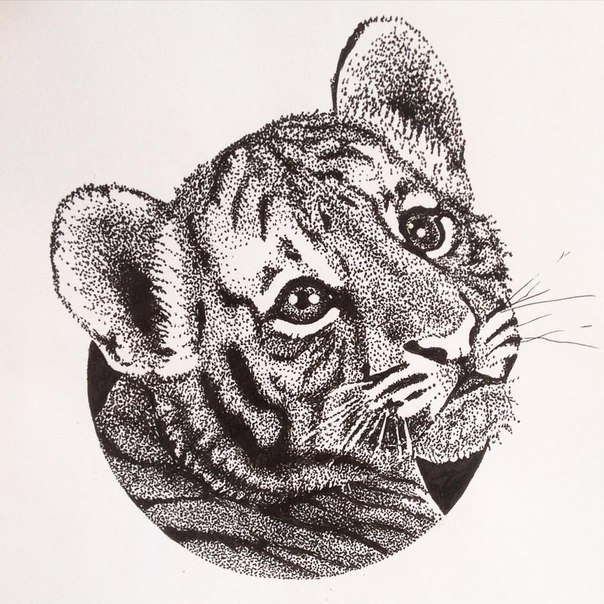 Sweet dotwork tiger baby tattoo design