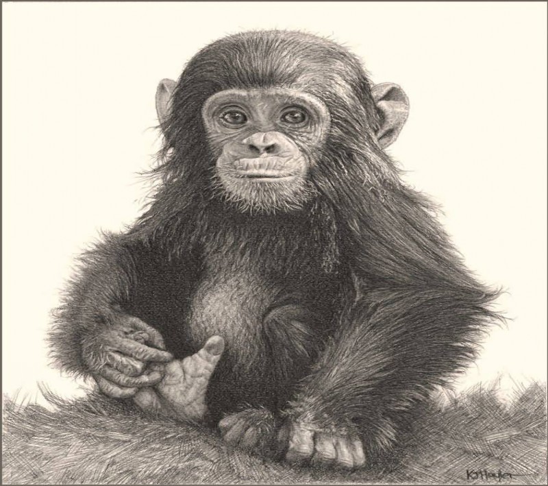 Sweet grey-ink chimpanzee baby tattoo design
