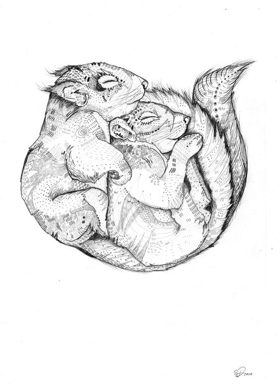 Sweet grey patterned sleeping squirrel couple tattoo design