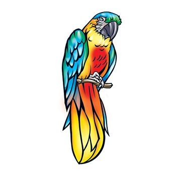 Sweet orange-and-blue sitting parrot tattoo design