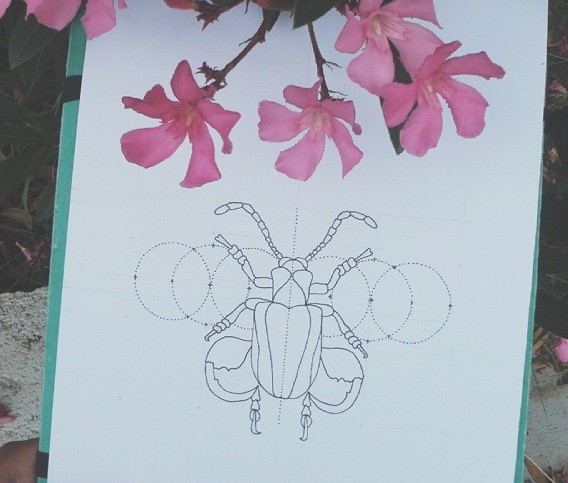 Sweet outline bug with circle drawings tattoo design