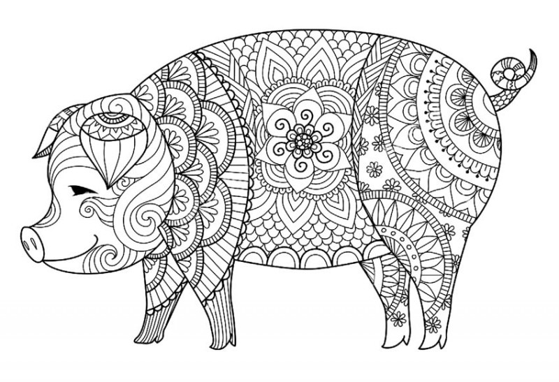 Sweet outline ornate pig tattoo design