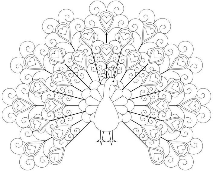 Sweet outline peacock with heart-patterned tail tattoo design
