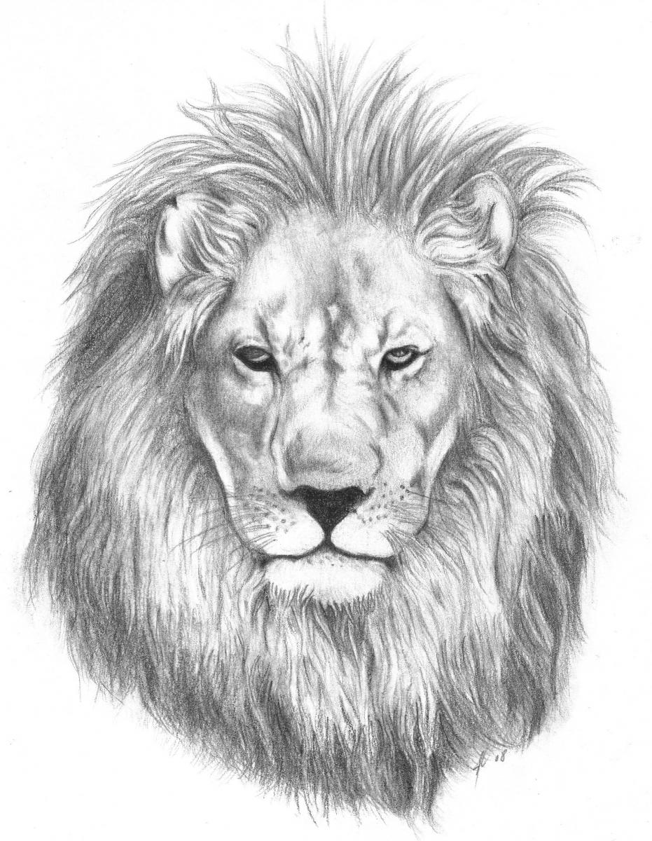 Sweet realistic grey-color lion portrait tattoo design