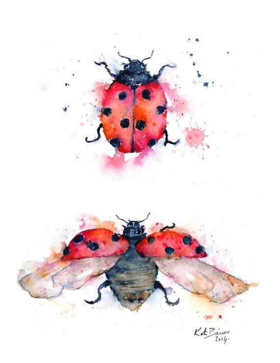 Sweet watercolor ladybug in different poses tattoo design