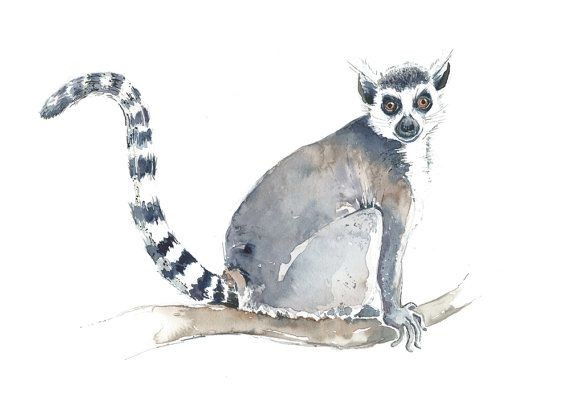 Sweet watercolor lemur tattoo design