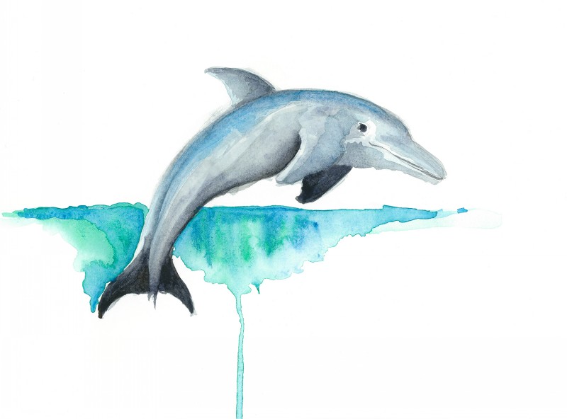 Sweet watercolor swimming dolphin tattoo design by Enviousv