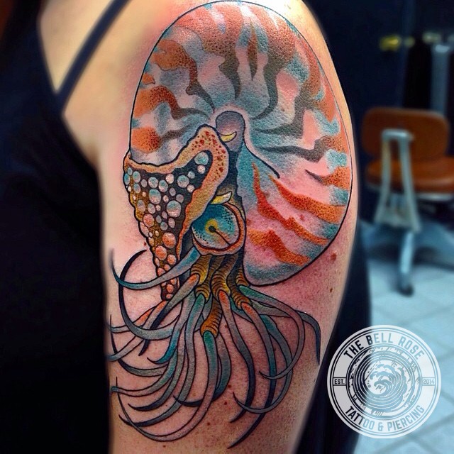 Tattoo painted in old school style of nautilus shell