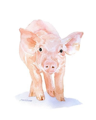 Tender rosy pig baby tattoo design