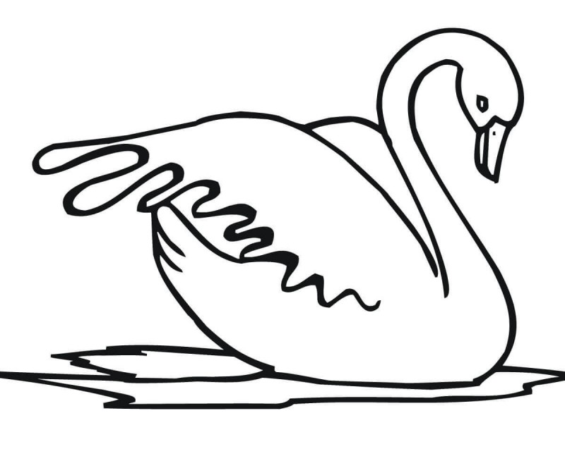 Tender swan without coloring tattoo design