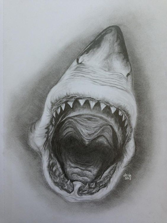 Terrible black-and-white shark jaws tattoo design