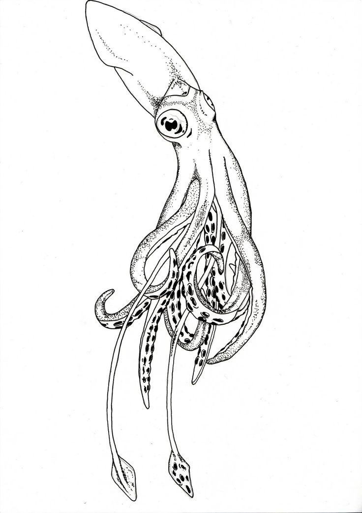 Thin black-and-white octopus tattoo design