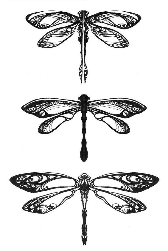 Three awesome black-and-white dragonflies tattoo design