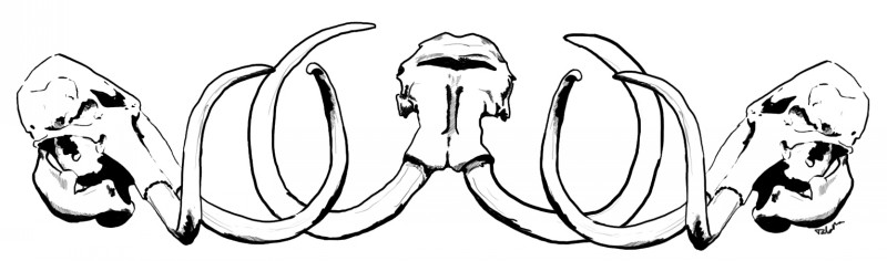Three black-and-white mammoth skulls touching with horns tattoo design