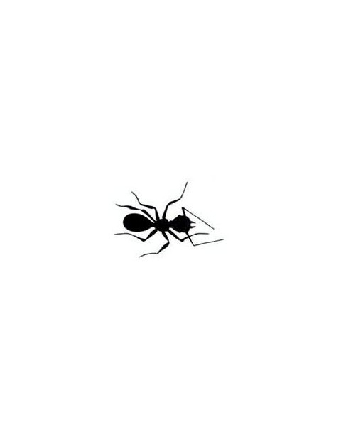 Tiny ant silhouette tattoo design