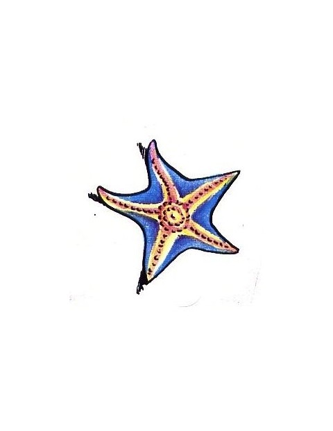 Tiny blue-and-yellow starfish tattoo design