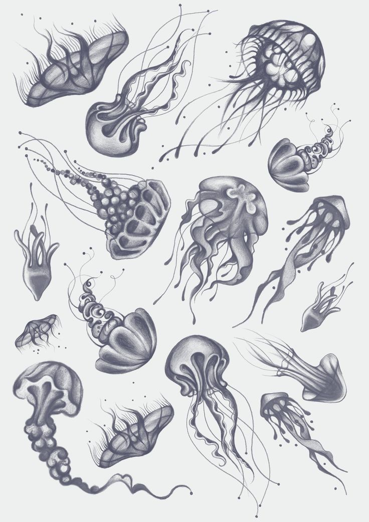Tiny grey-ink different jellyfishes tattoo design