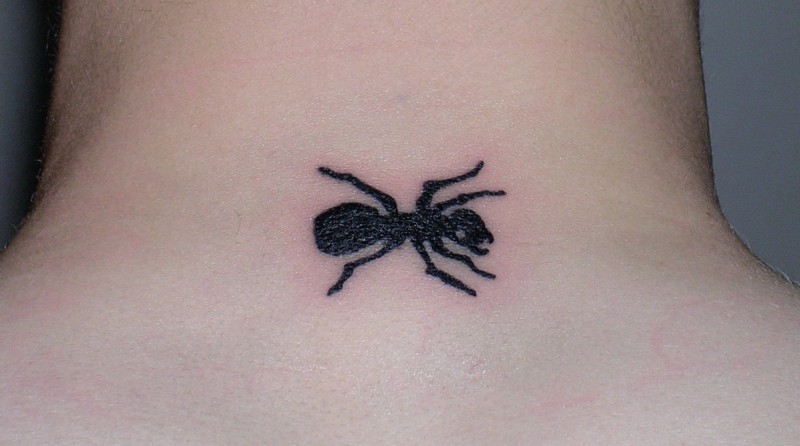 Tiny simple black-ink ant tattoo on neck