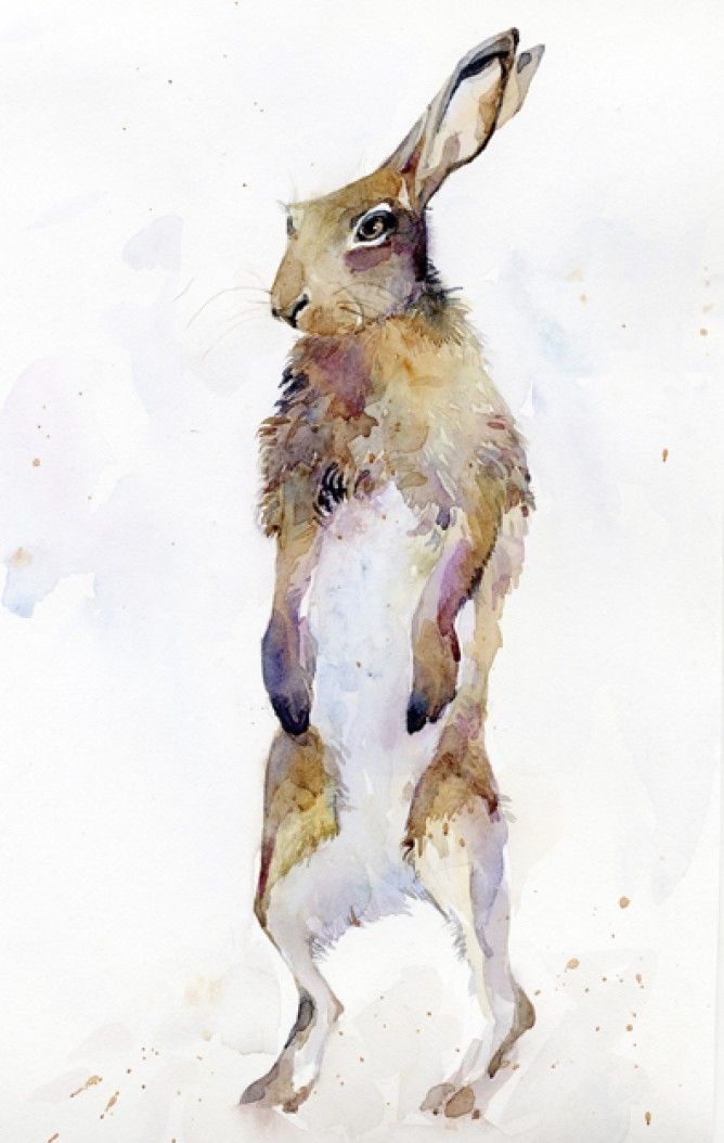 Tired watercolor hare standing in full growth tattoo design