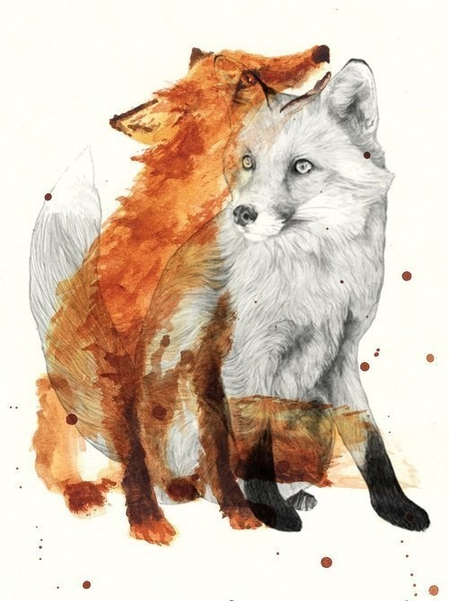 Twin red and white fox tattoo design