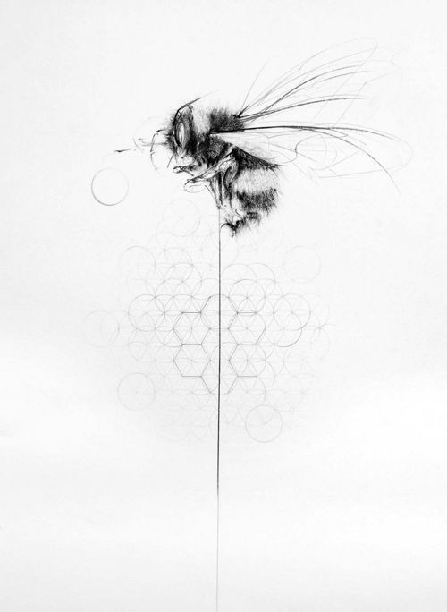 Uncolored bee flying over flowers of life ornament tattoo design