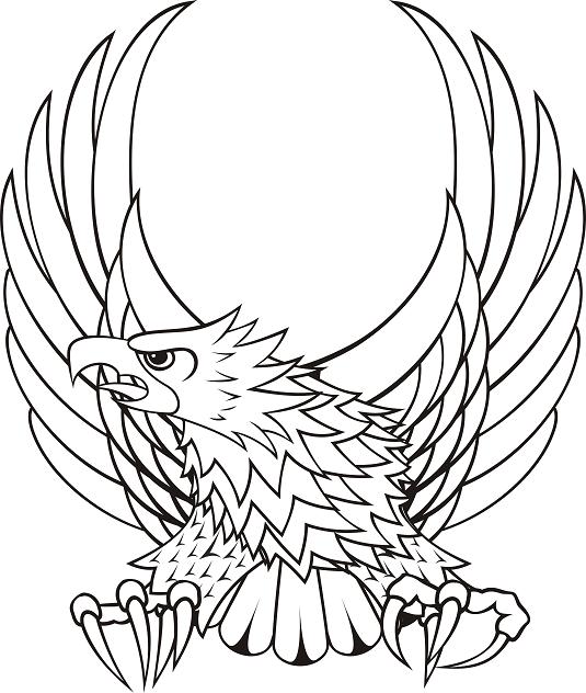 Uncolored open-winged eagle tattoo design
