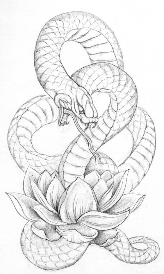 Uncolored snake hissing on big lotus flower tattoo design