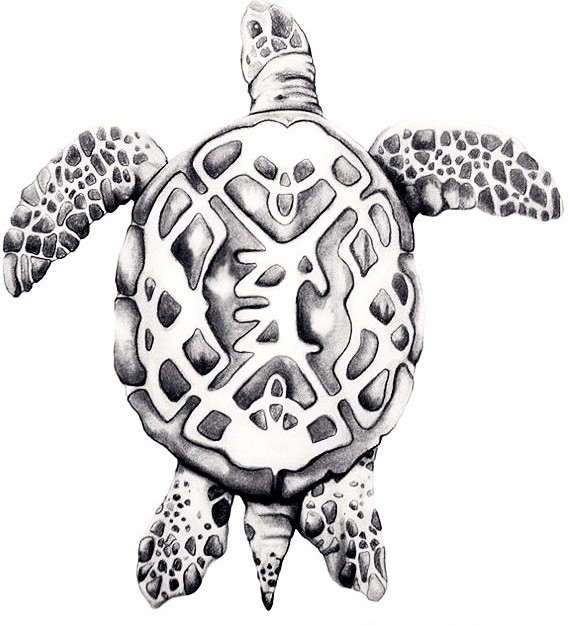 Uncolored turtle with carving shell tattoo design