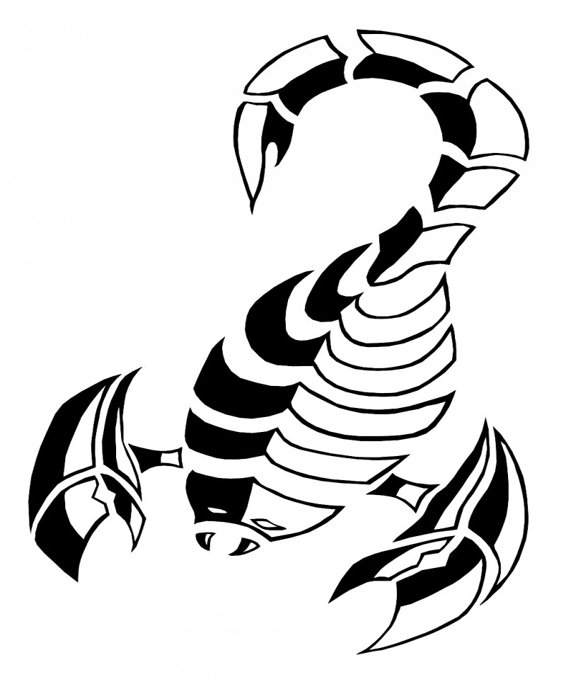 Unique-shaped half-black half-white scorpion tattoo design