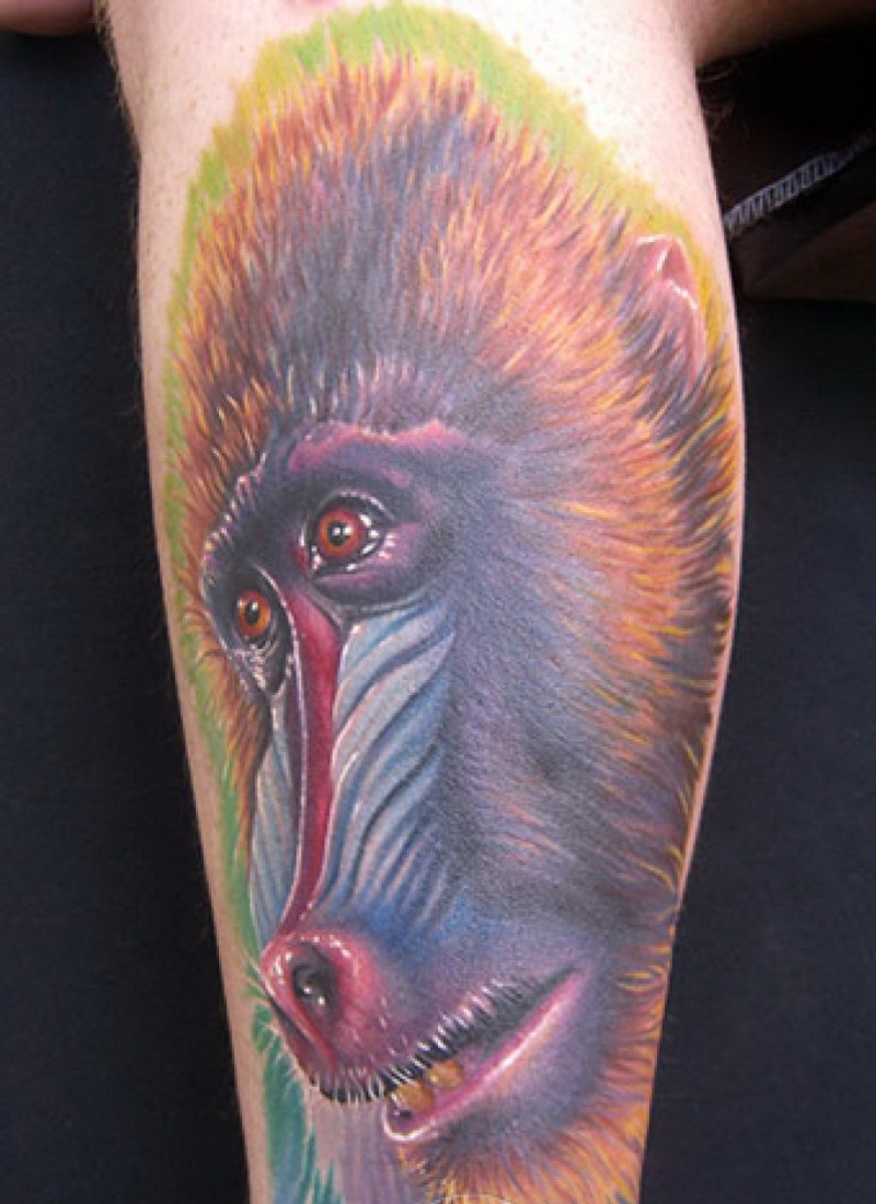 Unique colorful baboon portrait tattoo on shin