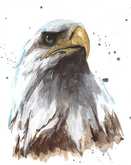 Unique watercolor eagle portrait tattoo design