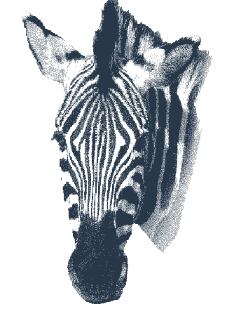Unusual dotwork-style zebra face tattoo design