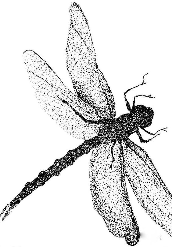 Unusual dotwork dragonfly tattoo design