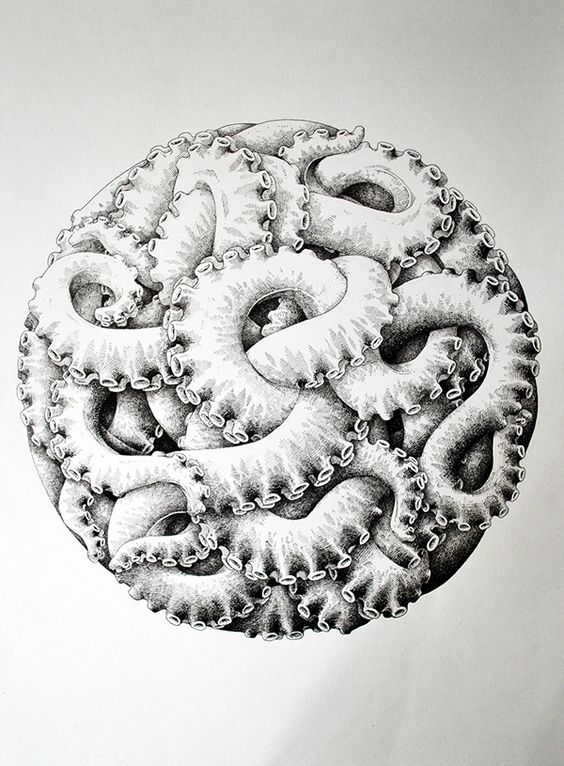 Unusual octopus tentacle ball tattoo design