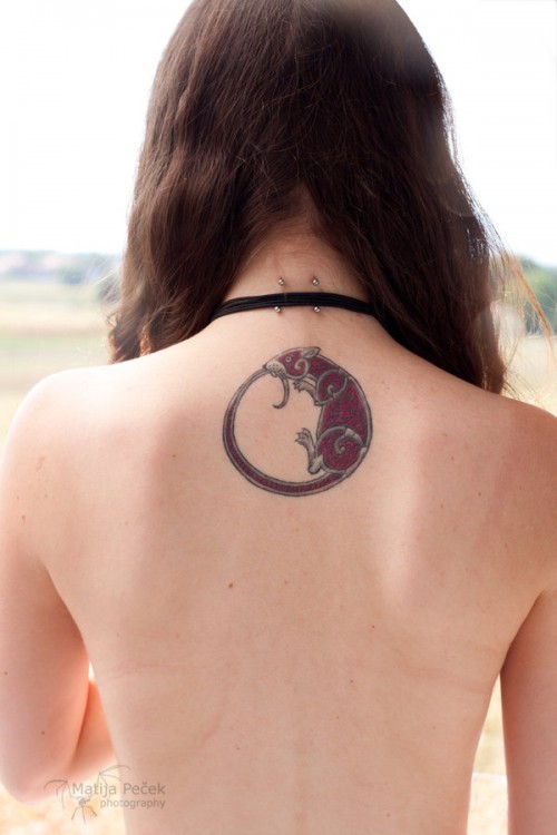 Ungewöhnliches Tattoo mit als Kreis gestataltetem Nagetier zwischen Schulterblättern