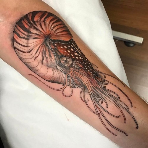Very realistic painted colored forearm tattoo of big nautilus