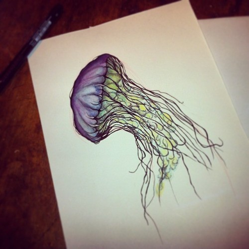 Violet-headed jellyfish with green frilled tentacles tattoo design