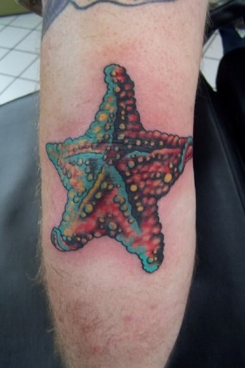 vivaci colori stellamarina tatuaggio su braccio di uomo