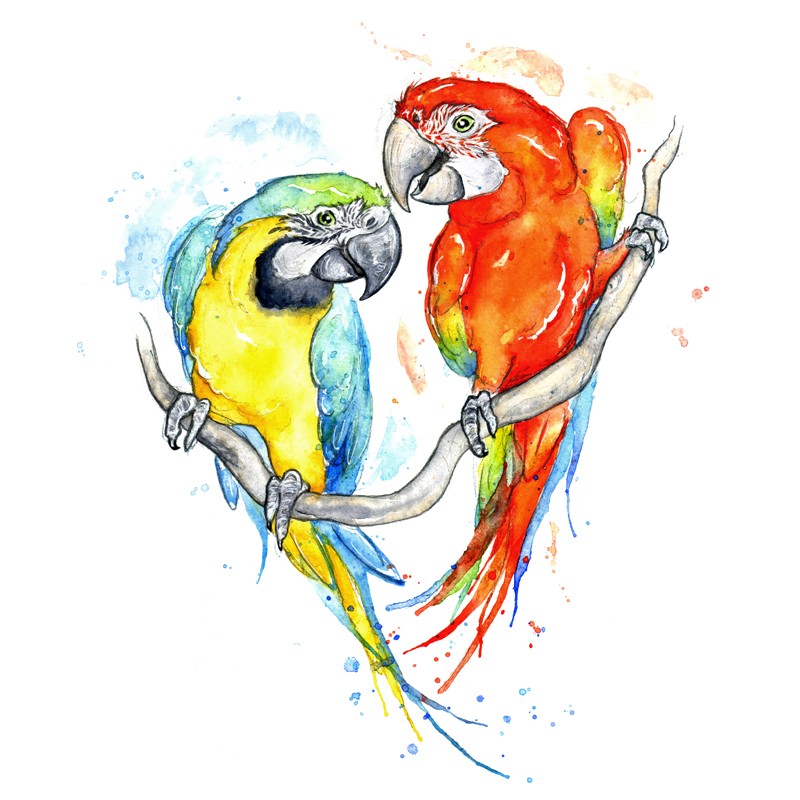 Watercolor arra parrot couple tattoo design