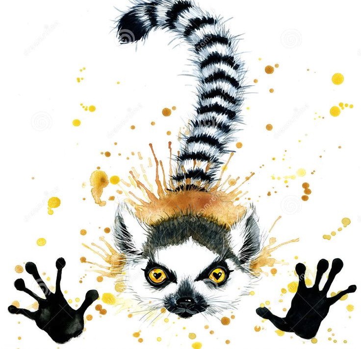 Watercolor lemur leaning to glass surface tattoo design