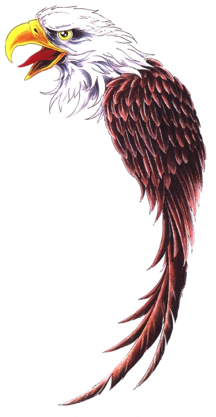 White-and-brown eagle part tattoo design