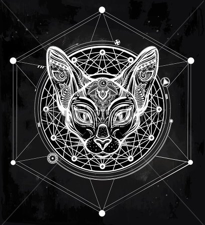 White-line vector ornamented cat on geometric background tattoo design