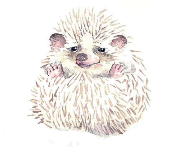 White curled hedgehog with rosy paws and ears tattoo design