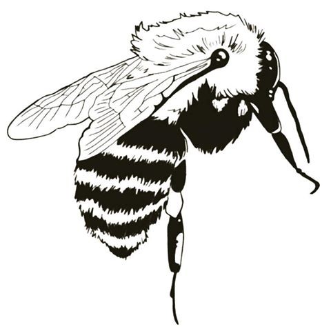 White fluffy neck bee in black-and-white colors tattoo design