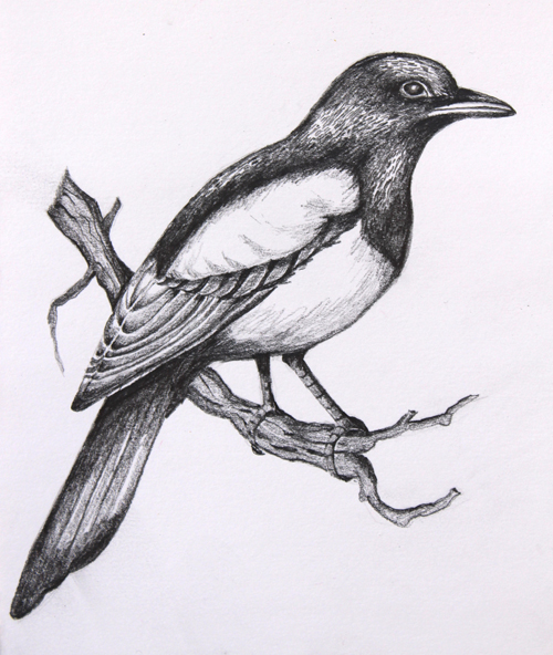 Wonderful black-and-white bird resting on tree branch tattoo design