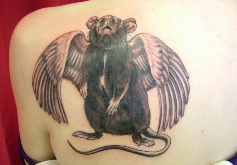 Wonderful black-and-white rodent angel tattoo on back