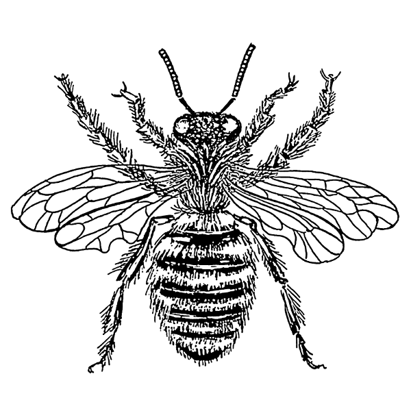 Wonderful black-ink bee tattoo design